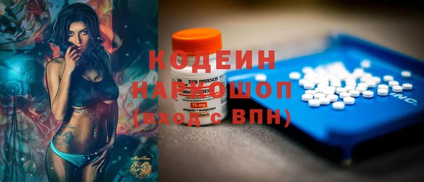 шишки Белокуриха