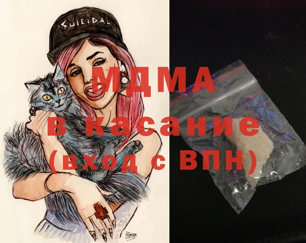 шишки Белокуриха