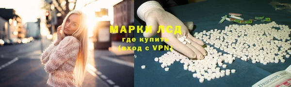 шишки Белокуриха