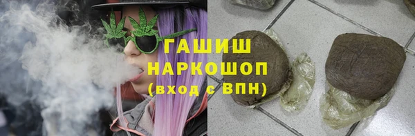 шишки Белокуриха