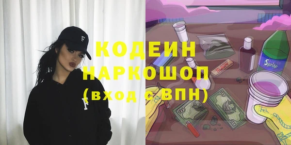шишки Белокуриха