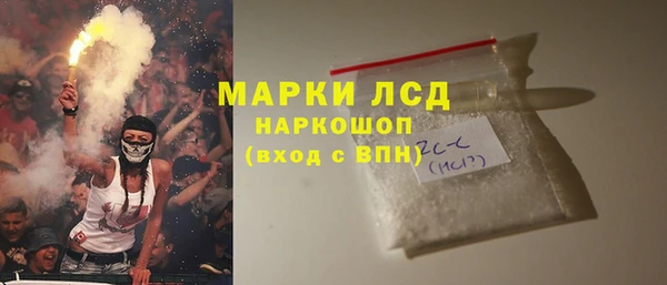 шишки Белокуриха