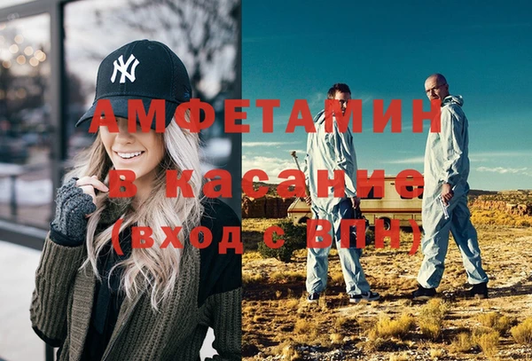 шишки Белокуриха