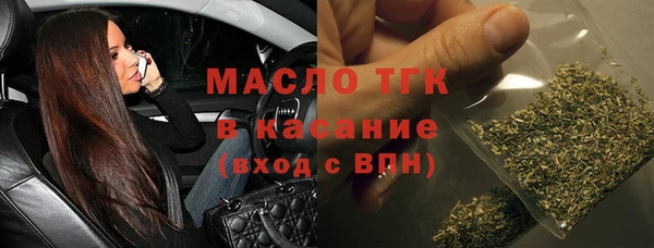 шишки Белокуриха