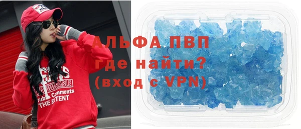 шишки Белокуриха