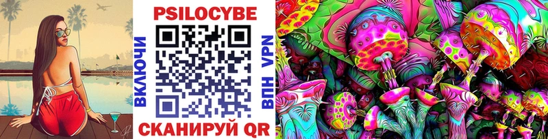 где продают наркотики Михайлов Галлюциногенные грибы Psilocybine cubensis